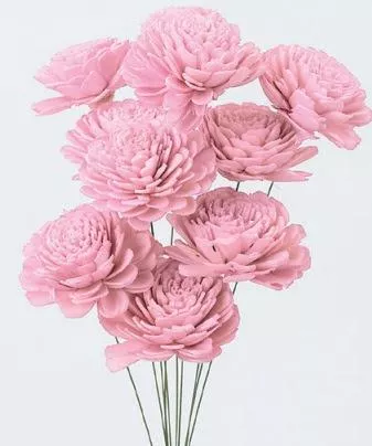 日本大地農園   索拉大玫瑰 32083-110 櫻花粉