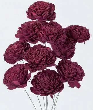 日本大地農園   索拉大玫瑰 32083-470 浪漫紅紫