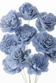 日本大地農園   索拉小玫瑰 32081-631  孔雀藍