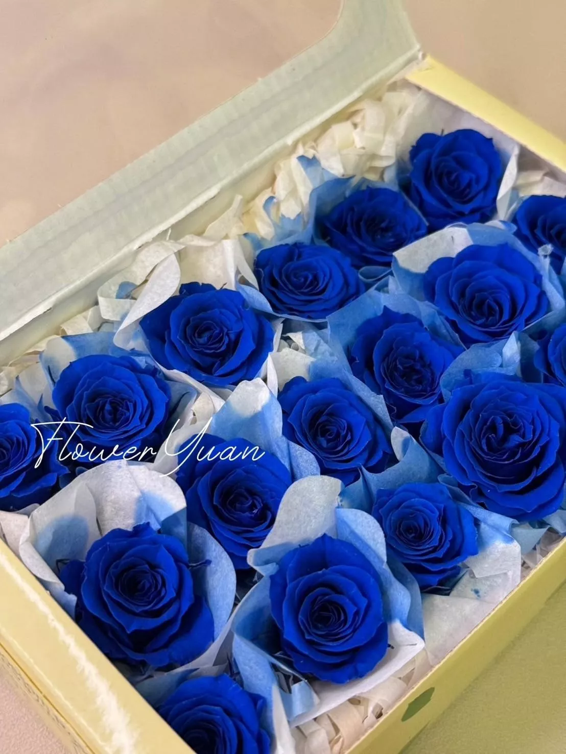 日本Florever 小玫瑰 FL041-12 深藍