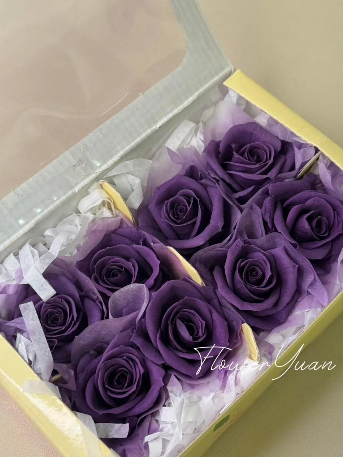 日本Florever 中玫瑰 FL070-18 紫羅蘭