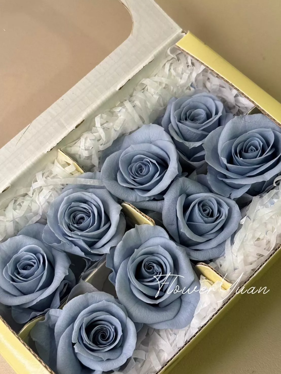 日本Florever 中玫瑰 FL070-56 棉花糖藍