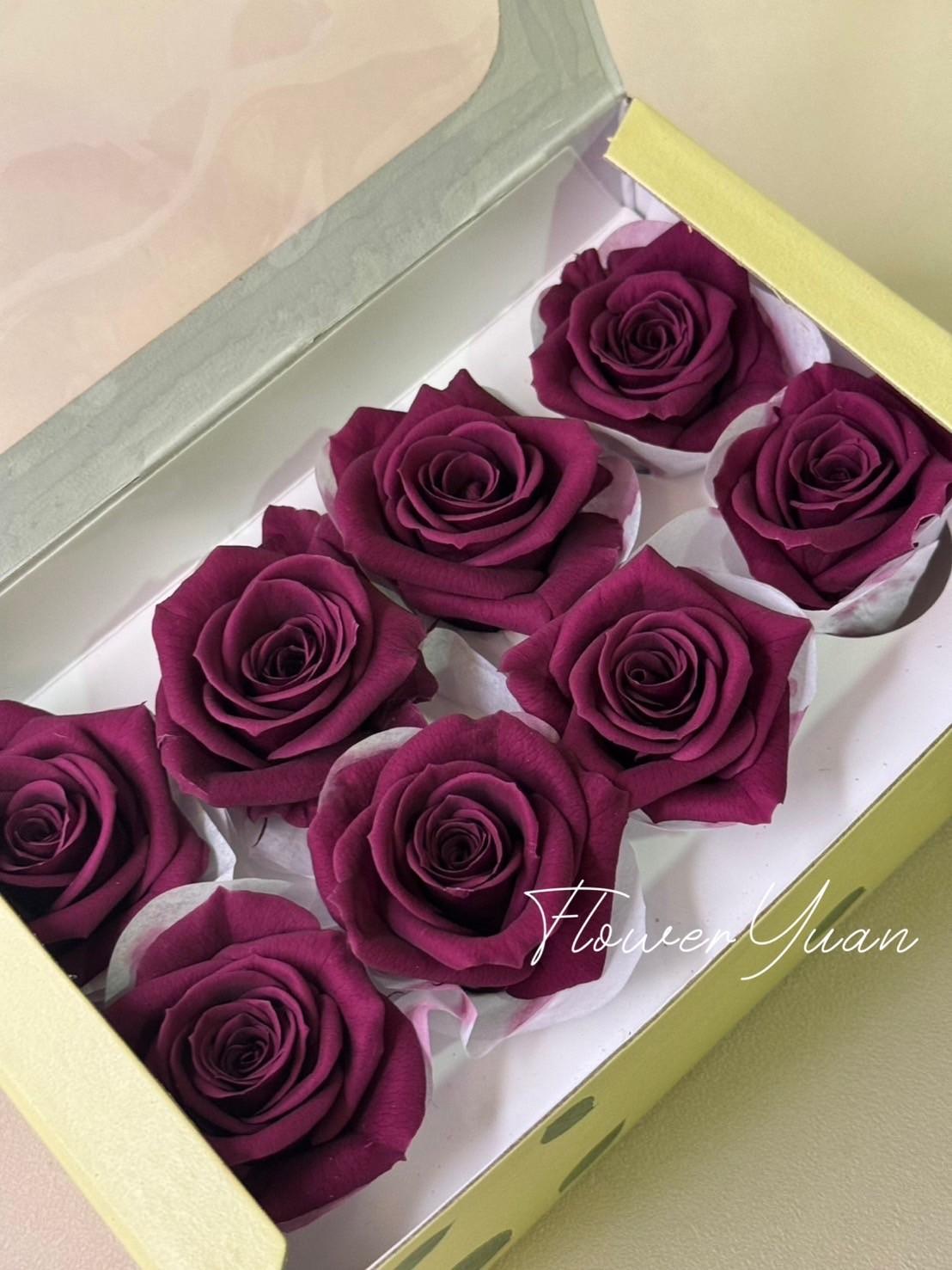 日本Florever 中玫瑰 FL070-74 櫻桃紫