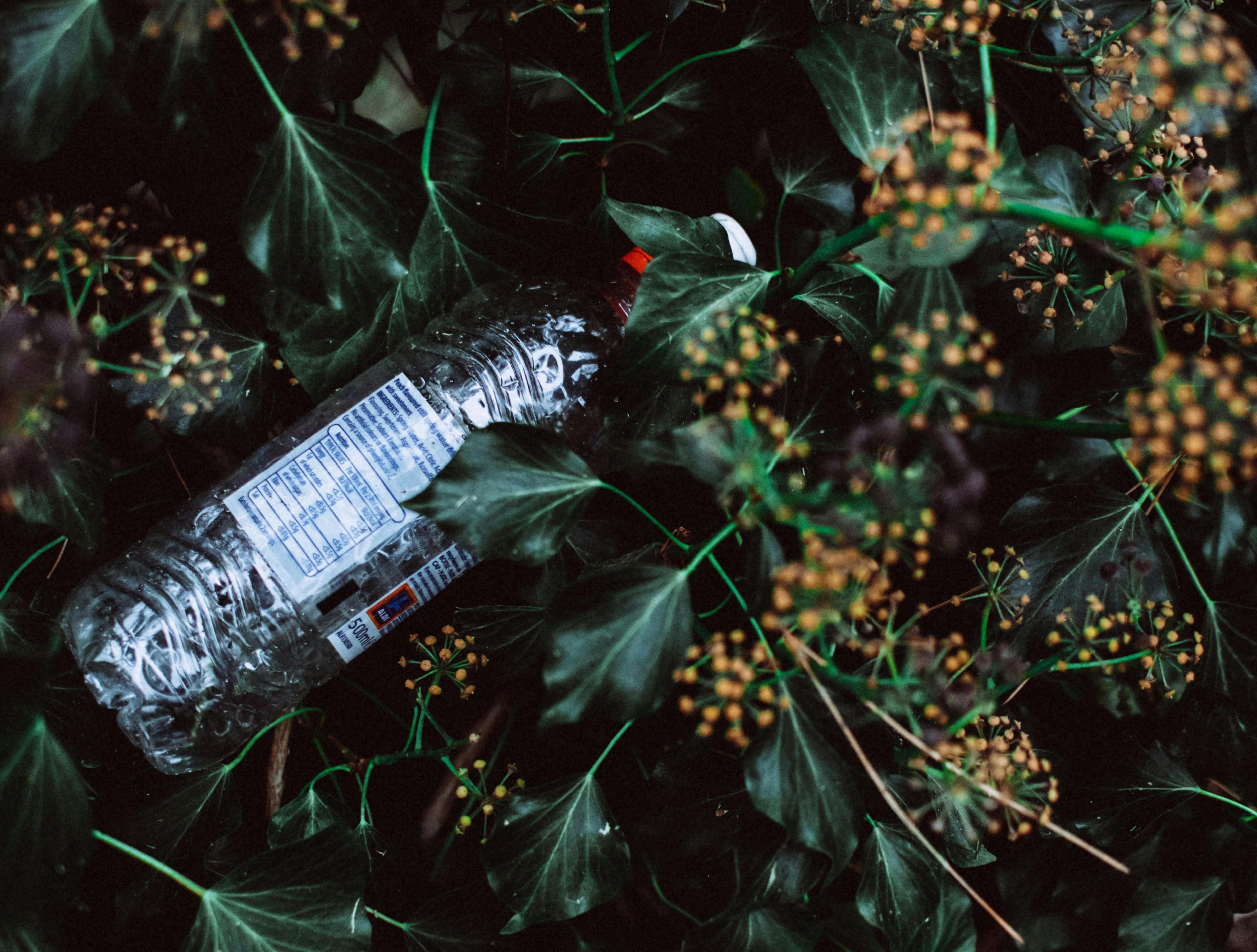 草叢中靜靜地躺著一個被丟棄的保特瓶，可以知道塑膠對環境有害，那香水中添加的塑化劑是否也會對人體有害呢？