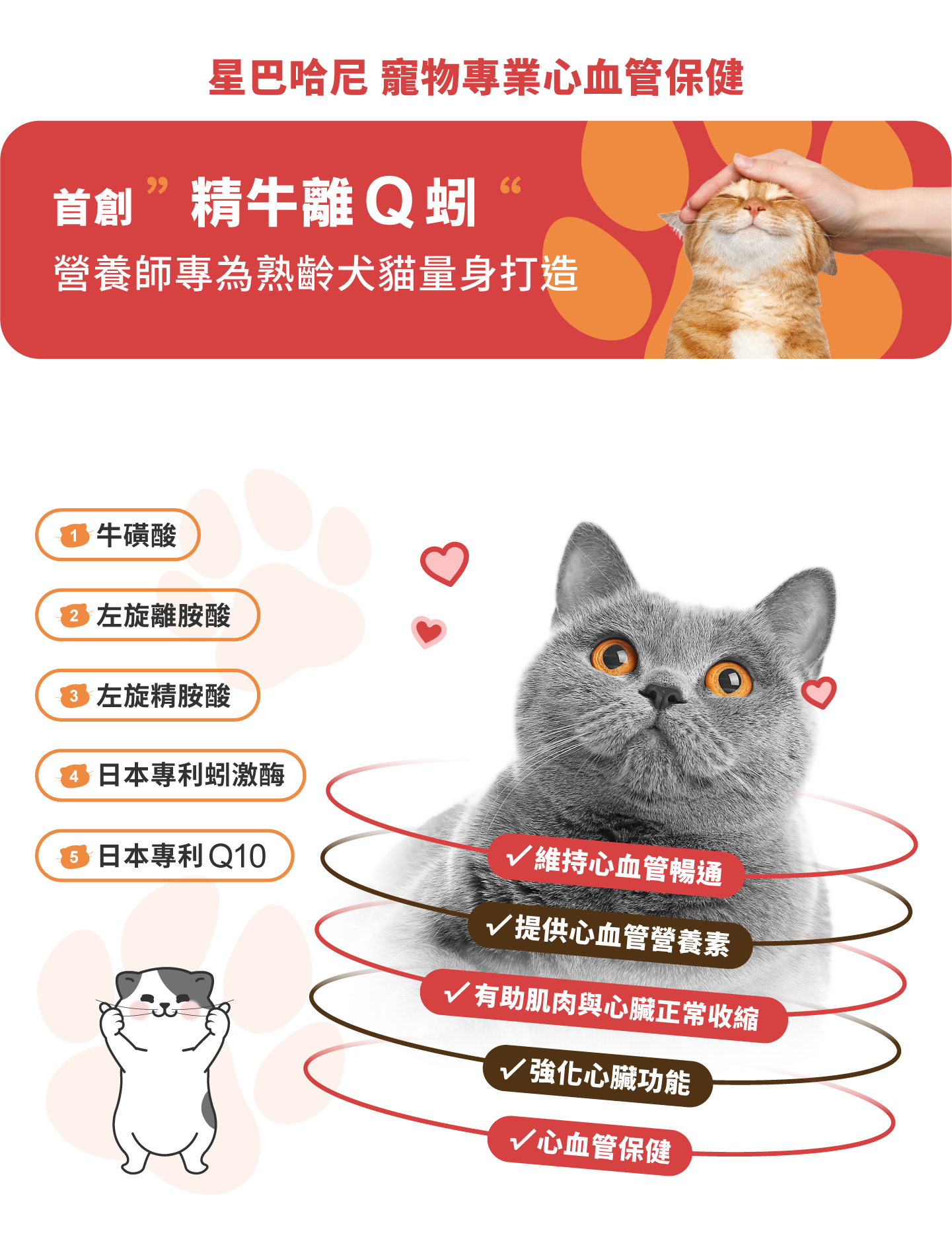 星巴哈尼貓用-寵物專業心血管保健