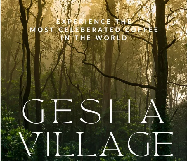 衣索比亞 瑰夏村莊園 日曬 Ethiopia Gesha Village Coffee Review 95分