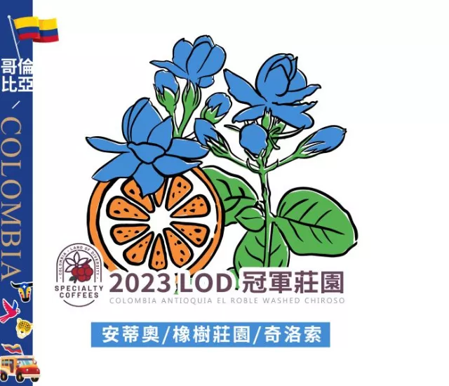 哥倫比亞 2023LOD冠軍 橡樹莊園 奇洛索 水洗長發酵