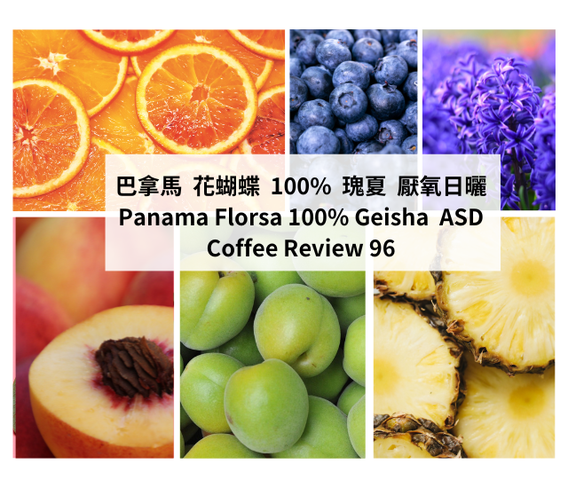 巴拿馬 花蝴蝶 100% 瑰夏 厭氧日曬ASD Panama Florsa 100% Geisha Coffee Review 96分