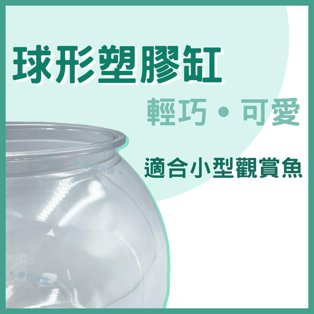 圓形塑膠魚缸 球型缸 圓形魚缸 圓缸 球形魚缸 小型缸 塑膠魚缸 小魚缸 塑膠缸