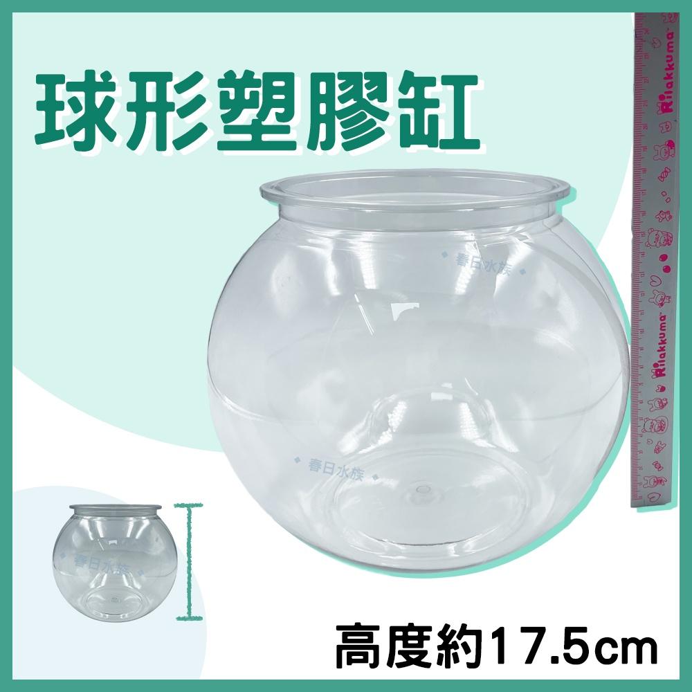 圓形塑膠魚缸 球型缸 圓形魚缸 圓缸 球形魚缸 小型缸 塑膠魚缸 小魚缸 塑膠缸
