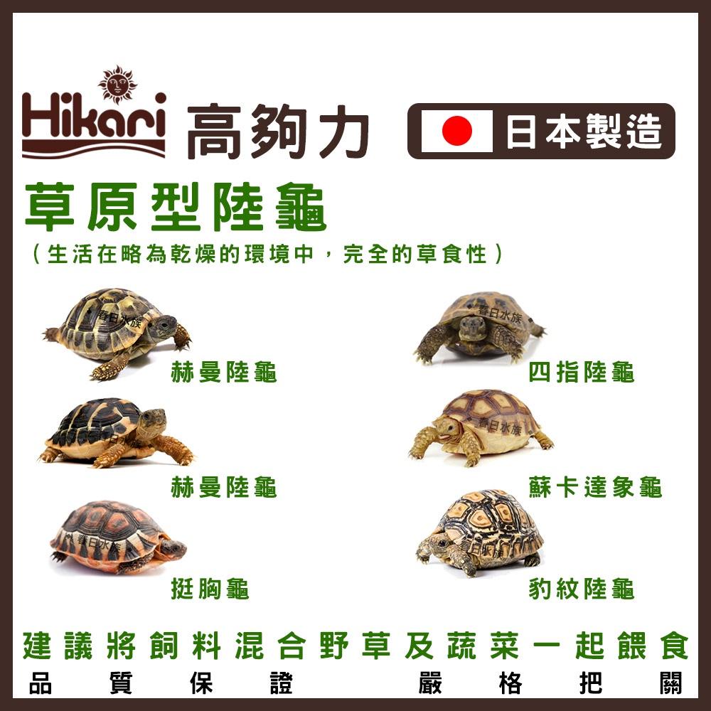 高夠力 陸龜健康蔬食 日本製 陸龜飼料 蘇卡達 赫曼 豹龜 星龜 陸龜 Saki Hikari