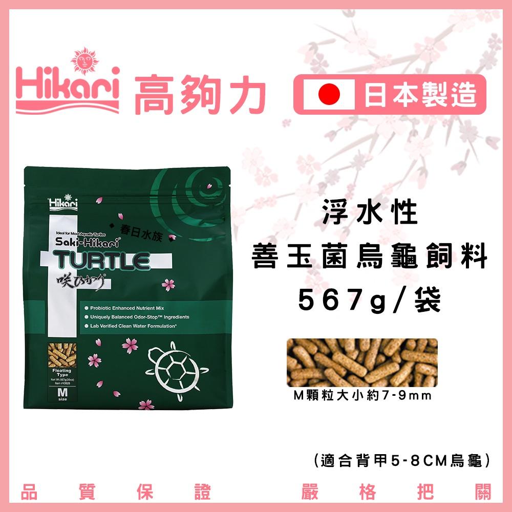 日本高夠力 善玉菌 烏龜飼料 浮水性 日本製造 澤龜 櫻花包裝 SAKI 水族 Hikari 巴西龜