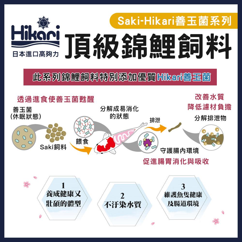 高夠力 Saki-Hikari 頂級錦鯉飼料 善玉菌系列 增豔色揚 增體 育成 冠軍多季節 增艷