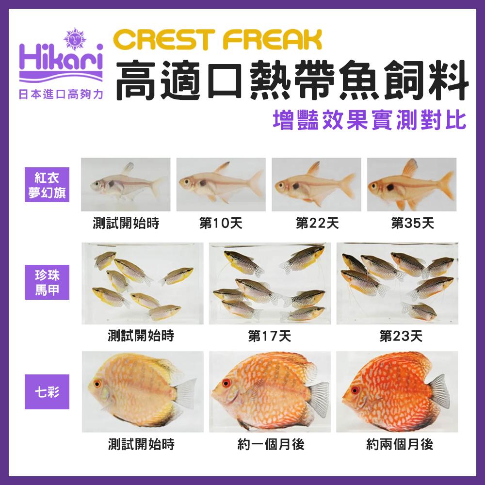 高夠力 CREST FREAK 鼠魚飼料 高適口熱帶魚飼料 鬥魚飼料 頂級善玉菌系列 增豔 CF Hikari