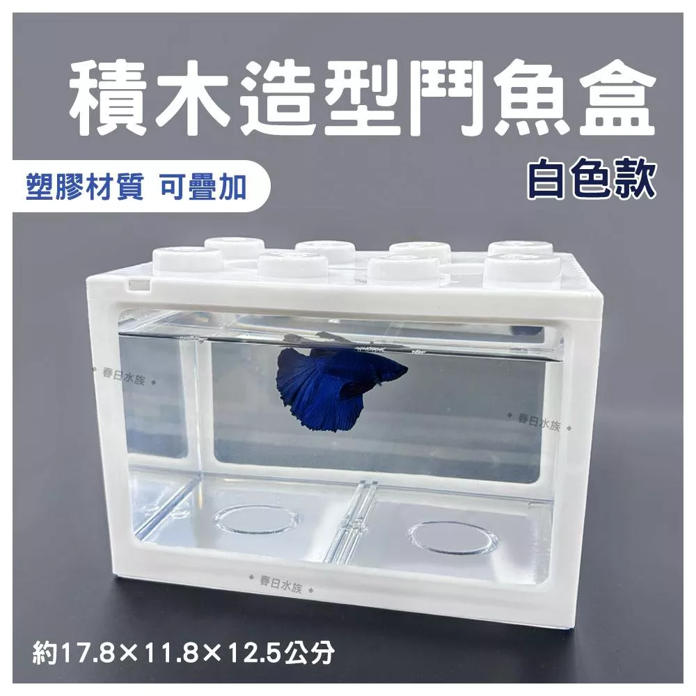 積木造型鬥魚盒 積木鬥魚缸 塑膠鬥魚盒 積木魚缸 塑膠魚缸 樂高 造型魚缸 小魚缸 塑膠缸 鬥魚 孔雀魚