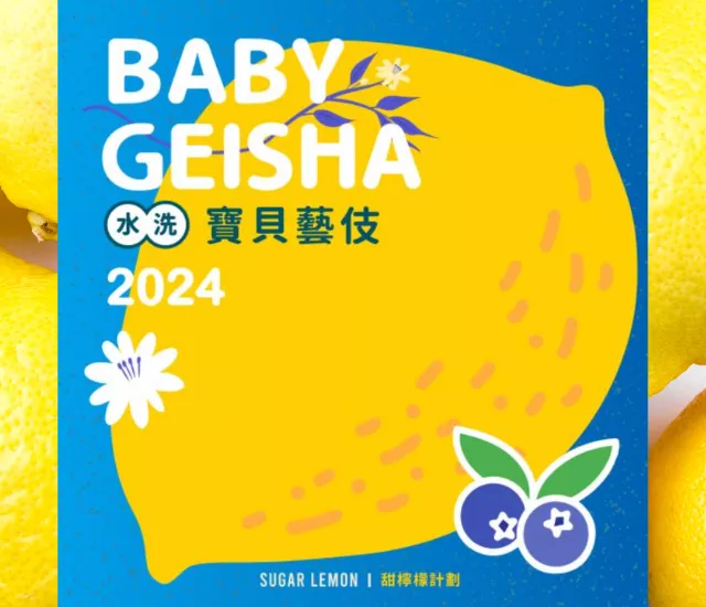 衣索比亞  寶貝藝伎 Ethiopia Baby Geisha Washed G1
