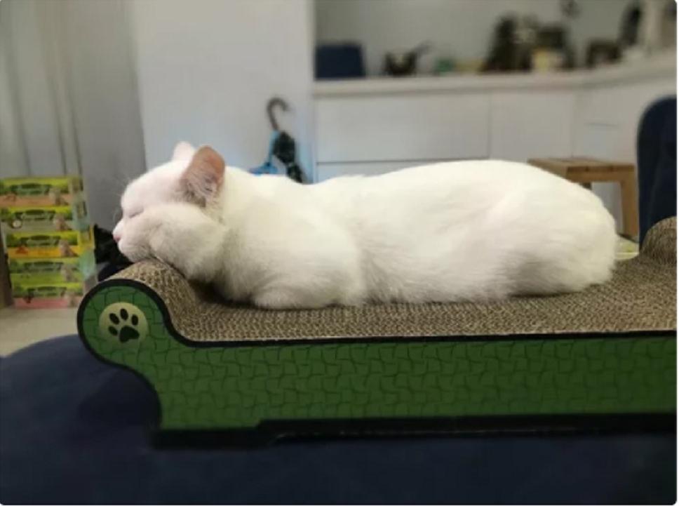 【摩多比 MDOBI 貴妃椅貓抓板】平躺 耐磨 耐抓 貓抓板 貓玩具 貓 玩具
