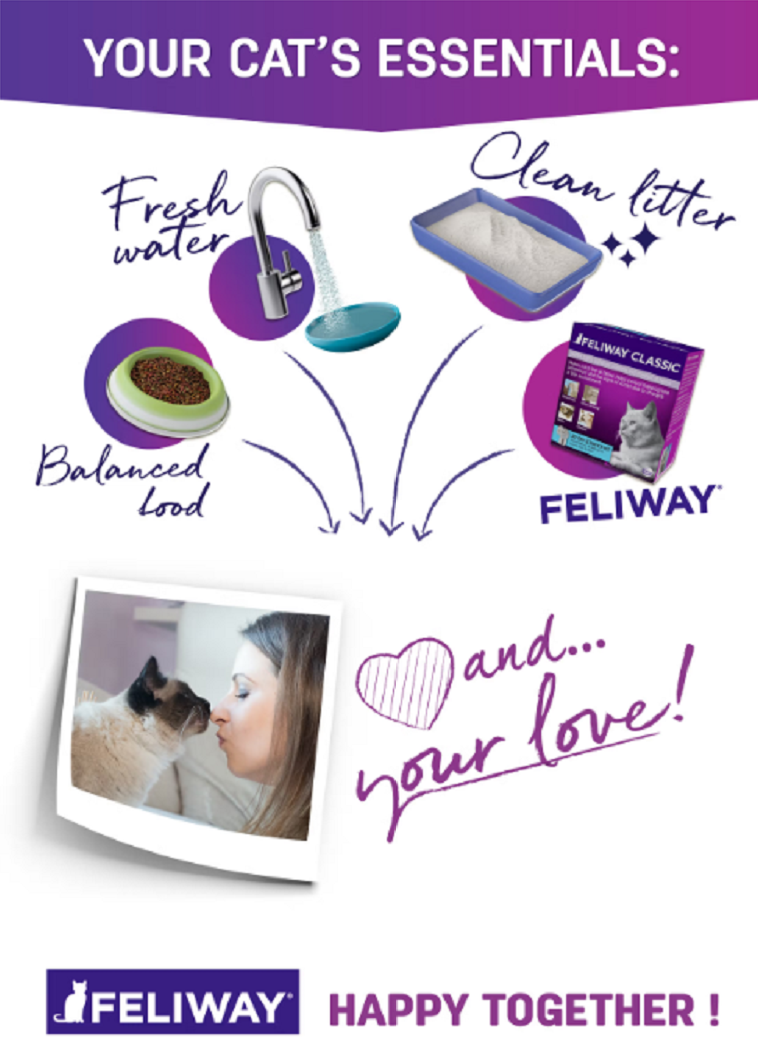 【費利威 Feliway 舒緩用品】費洛貓 情緒舒緩 噴劑 插電組 補充瓶 貓用品