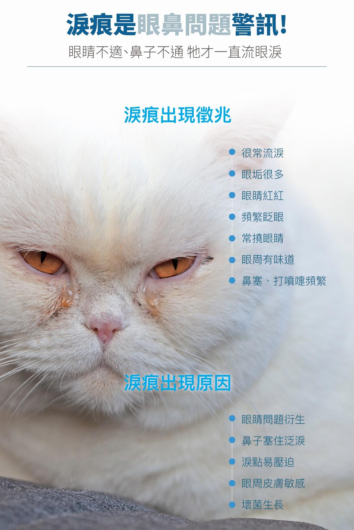 【木入森 MORESON 犬貓用痕淨白】淚腺 淚痕 眼睛 台灣 貓保健品 狗保健品 貓 狗 保健品