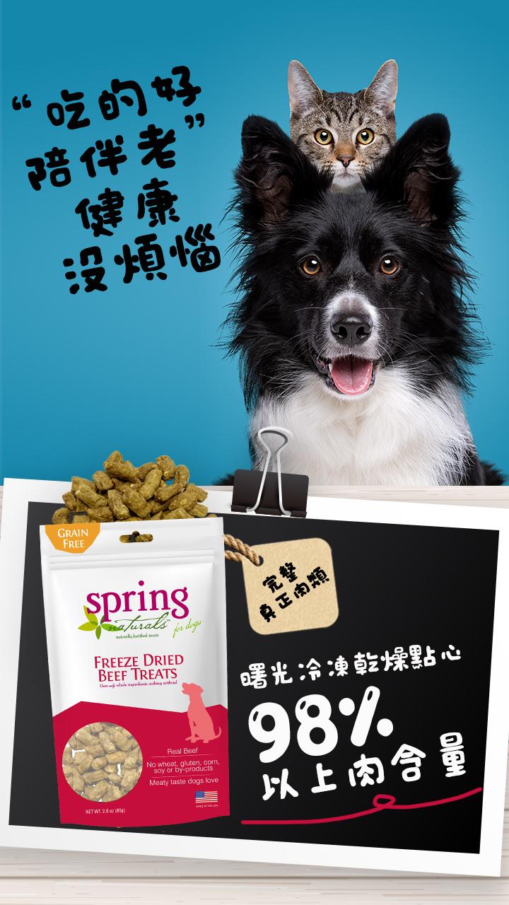 【曙光 Spring 犬用冷凍乾燥零食】天然 凍乾 雞肉 牛肉 鮭魚 美國 狗零食 狗 零食