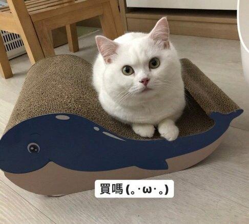 【搖滾貓 Rock Cat 小鯨魚貓抓板】貓抓板 造型 耐抓 貓 抓板