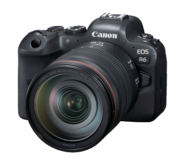 Canon EOS R6 (RF24-105mm f/4L IS USM)