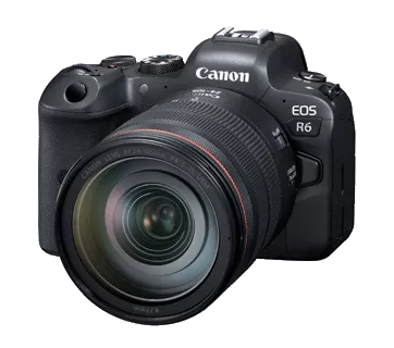 Canon EOS R6 (RF24-105mm f/4L IS USM)