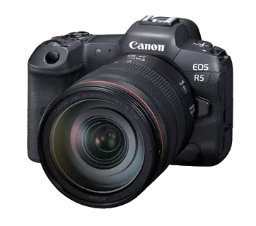 Canon EOS R5 (RF24-105mm f/4L IS USM)