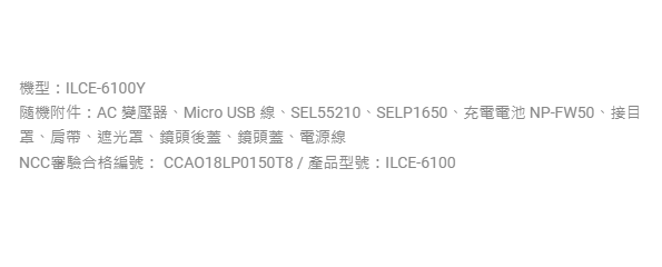 Sony α6100 ILCE-6100Y 公司貨 無卡分期
