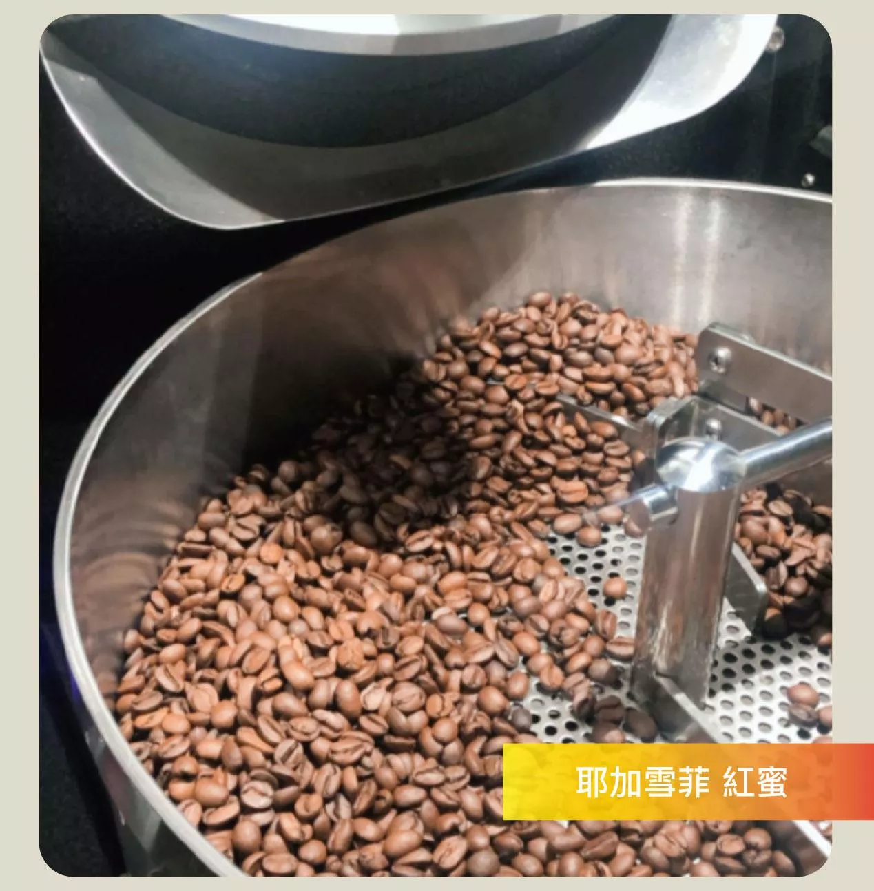 現烘咖啡豆- 衣索比亞 耶加雪菲G1 紅蜜