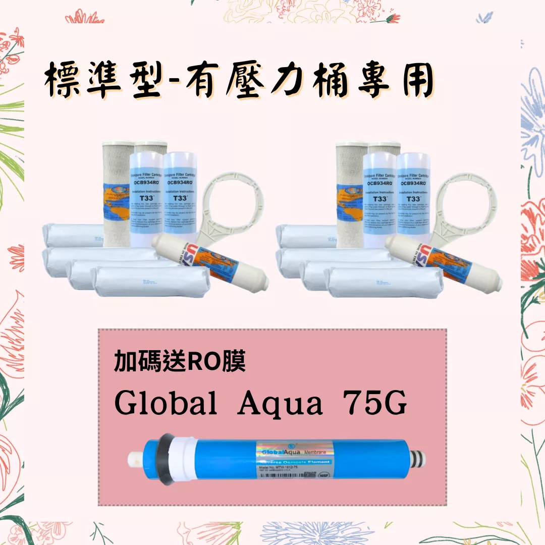 【葳茂】標準型美國進口 2年份濾心 送Global Aqua 75G RO膜 原廠公司貨