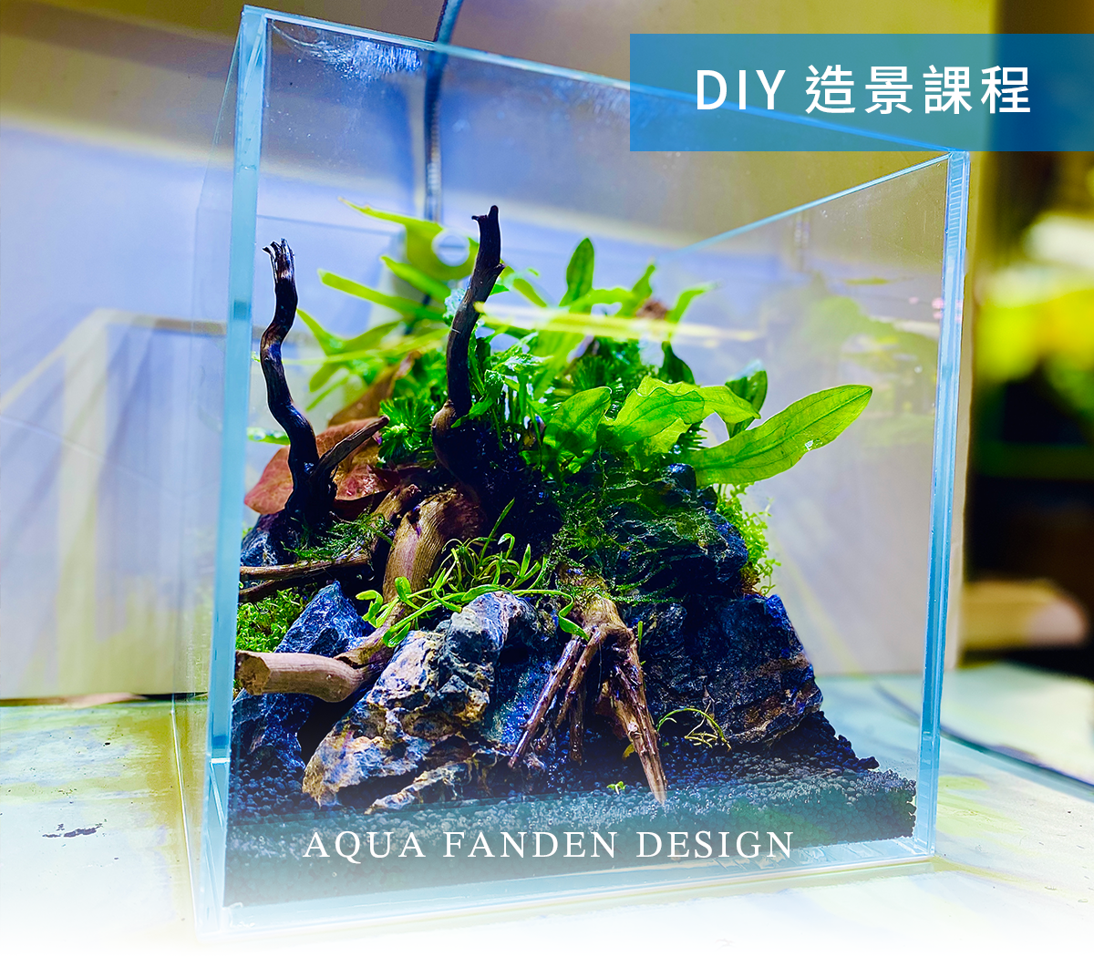 三個小品水草造景缸 ❙ 造景DIY教室