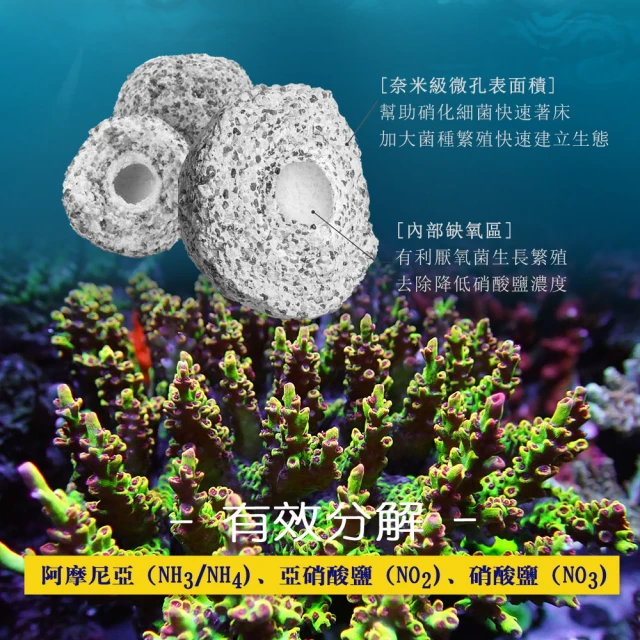CORAL REEF  活性生態珠