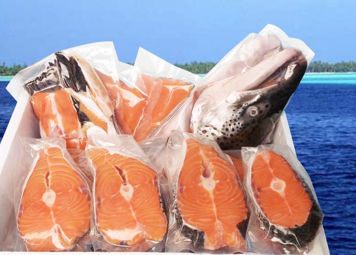頂級挪威現流鮭魚整尾(7-8kg/尾)