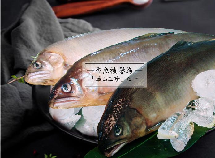 鮮嫩母香魚(6尾)