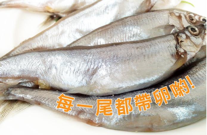 帶卵柳葉魚(300g/包)