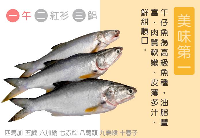 鮮嫩午仔魚(150-180g