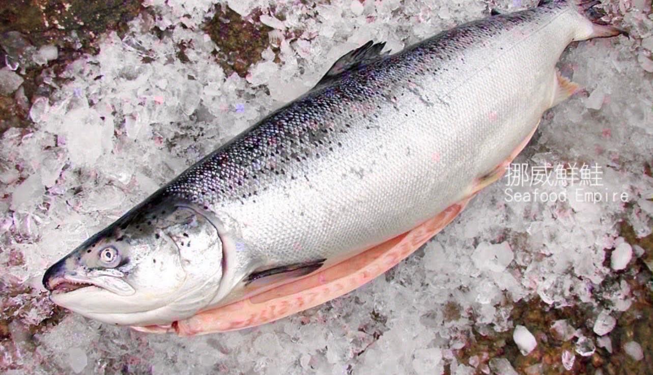 挪威鮭魚輪切6片(2公斤±10%)
